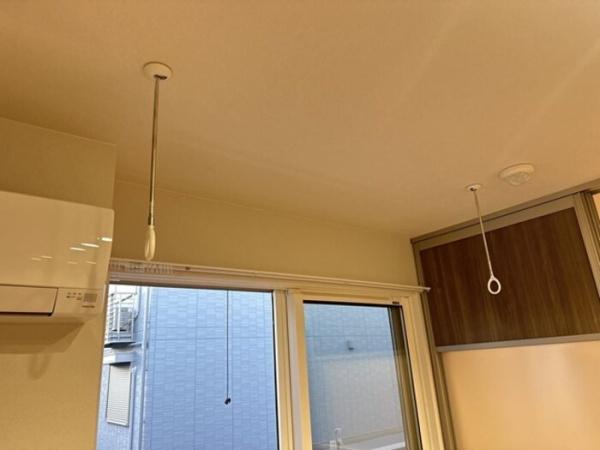 TORISIASメソン
