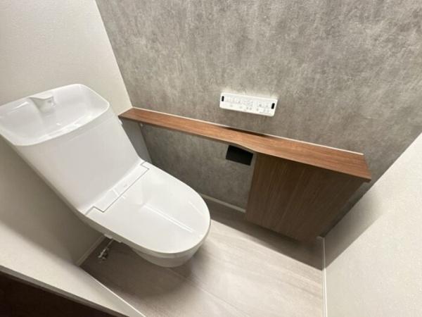 TORISIASメソン