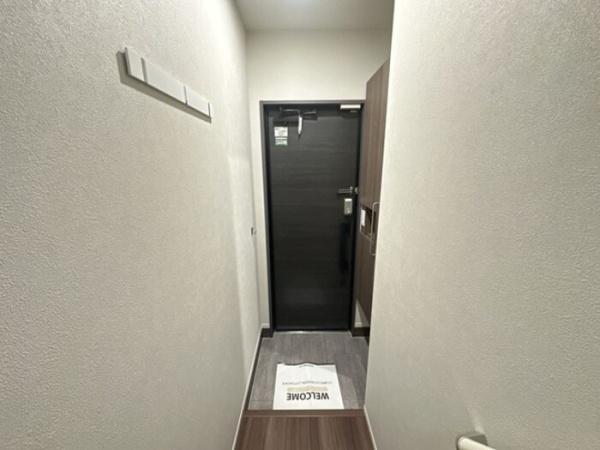 TORISIASメソン