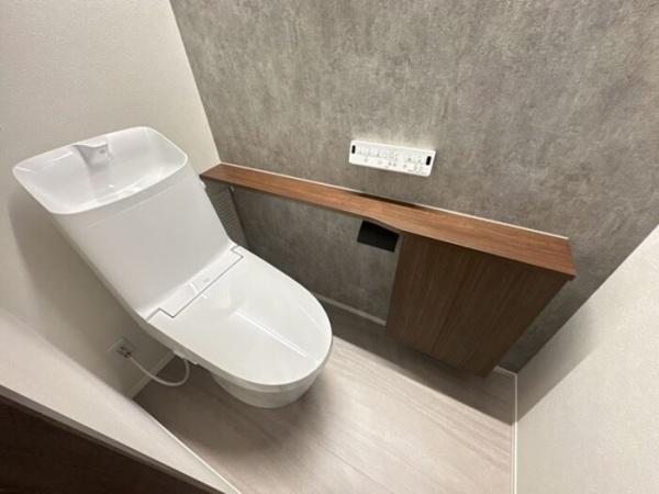 TORISIASメソン