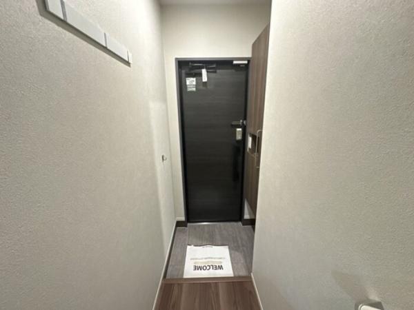 TORISIASメソン