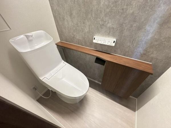 TORISIASメソン
