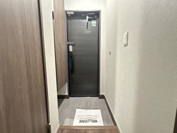 TORISIASメソン