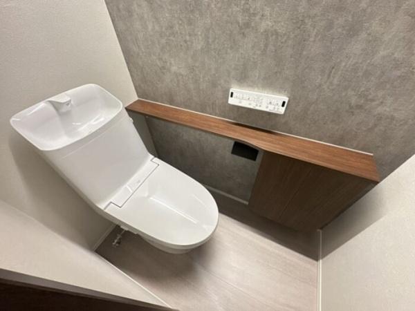 TORISIASメソン