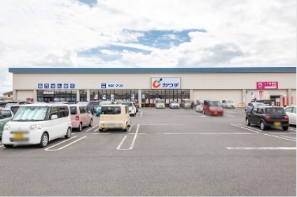 下都賀郡壬生町大字安塚の店舗（一戸建）(カワチ薬品針ヶ谷店)
