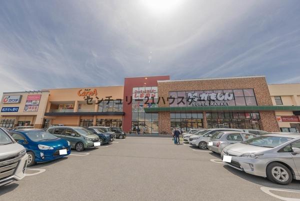 sieg　(ジーク)(カワチ薬品大曽店)