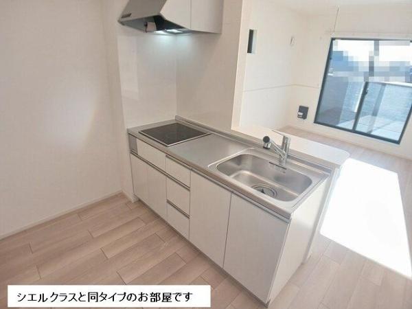 カトレヤ