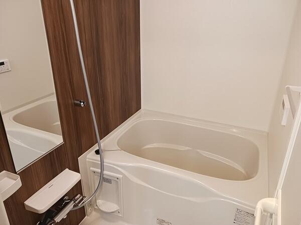 サンフラワーＢ