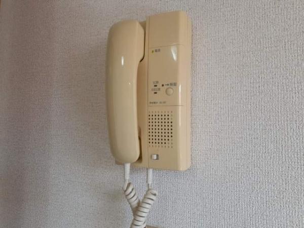 プラシード