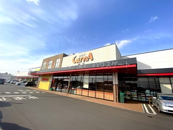 ピア・アベニュー　Ｃ(かましんカルナ駒生店)
