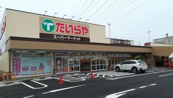 S-FORT宇都宮南大通り(たいらや城東店)