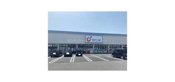 ルアナ(カワチ薬品今泉店)