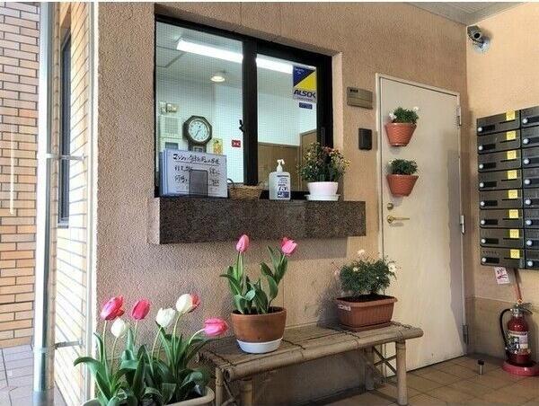 ネオニシキ