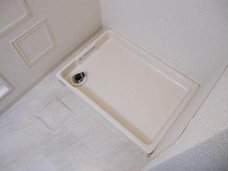 サニーコットン住之江