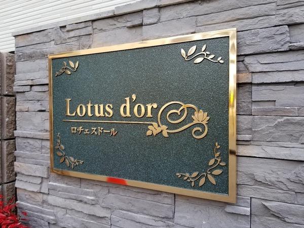 ロチェスドール