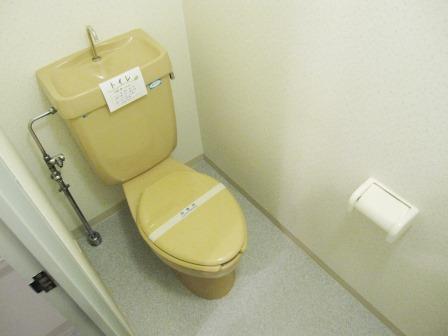 ドリーム中加賀屋