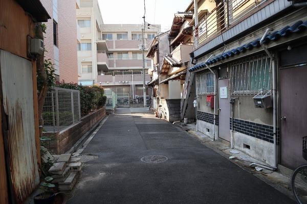 森田文化
