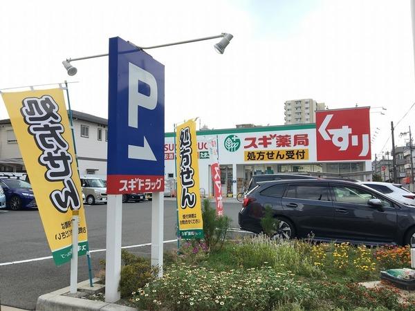 ビューテラス大新(スギドラッグ)
