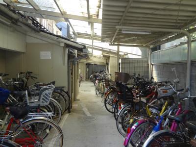 ビューテラス大新(その他共用部分)