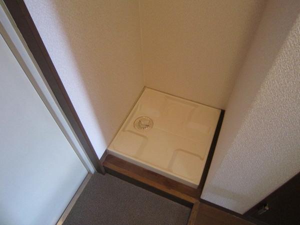 プルメリア玉出