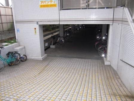 アベニューサザンプラム