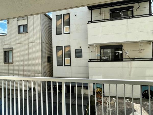 アインスハイツ(現地からの眺望)