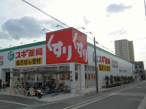 ビューテラス大新(スギ薬局南住吉店)