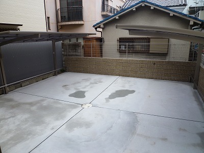 ブルーフローラ