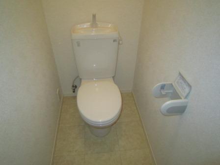 カルシャンコート