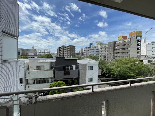 ハイネス白萩