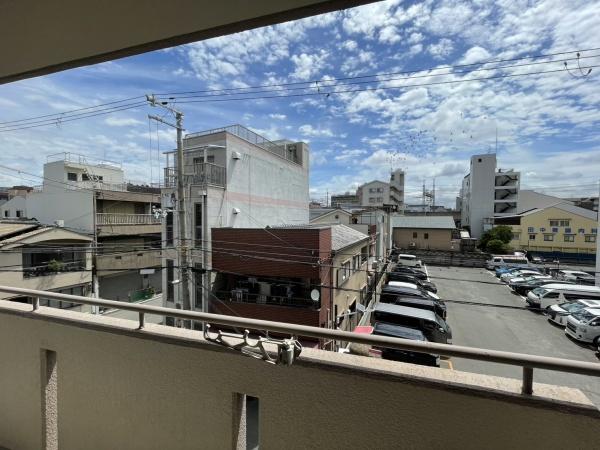 ハイネス白萩
