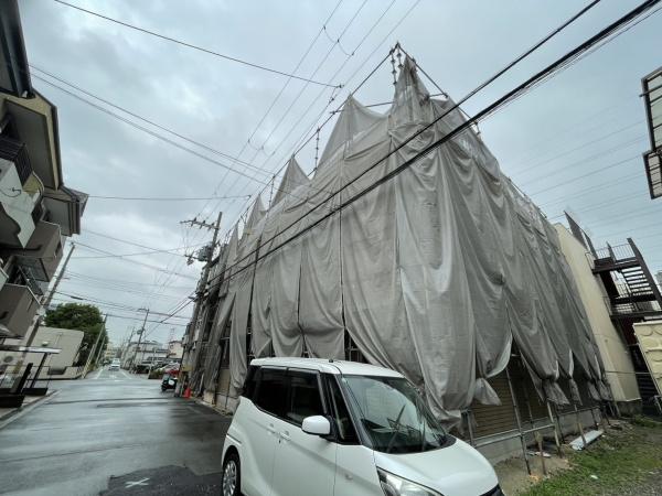Escudo黎