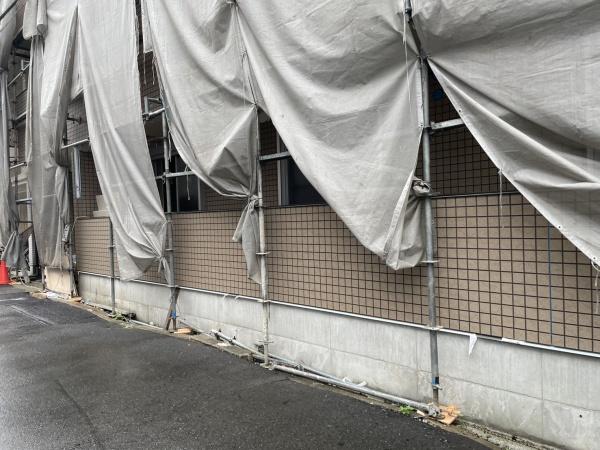 Escudo黎