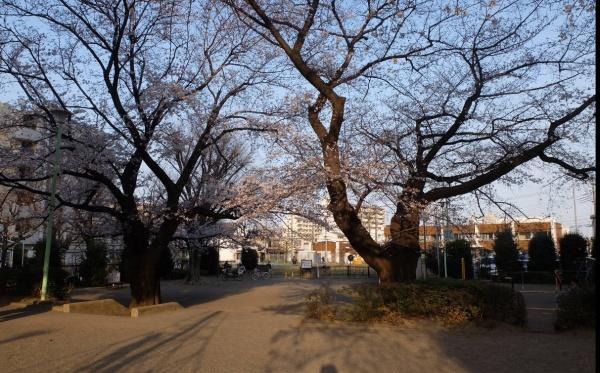 アドグランデ朝霞台ブライトステージ(泉水公園)