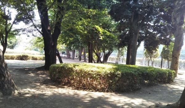 川口市西青木３丁目の店舗（建物一部）(青木町公園)