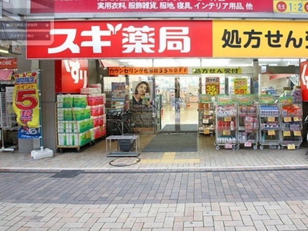 シンシア牛込(スギ薬局新宿若松町店)
