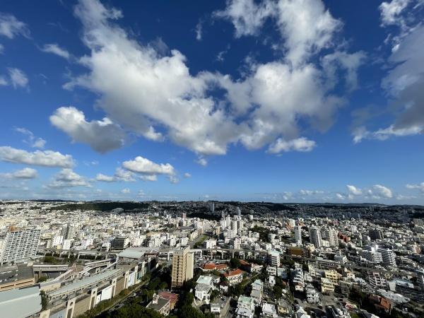 リュークスタワー イースト(現地からの眺望)