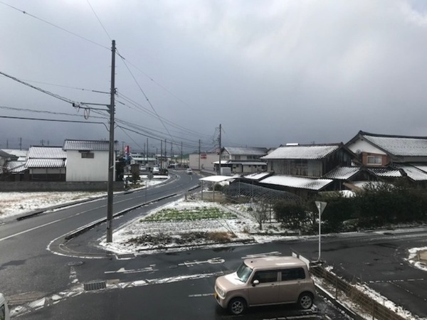 コーギー