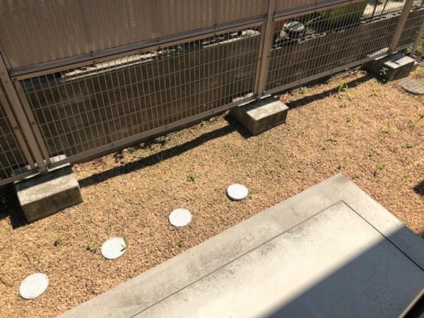 フレ　ブランシュ