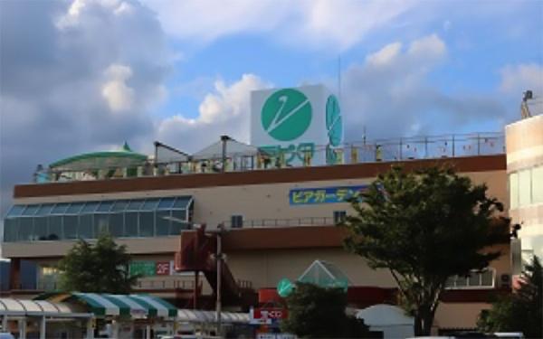 カメリア(ラピタ本店)