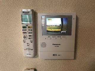 カメリア