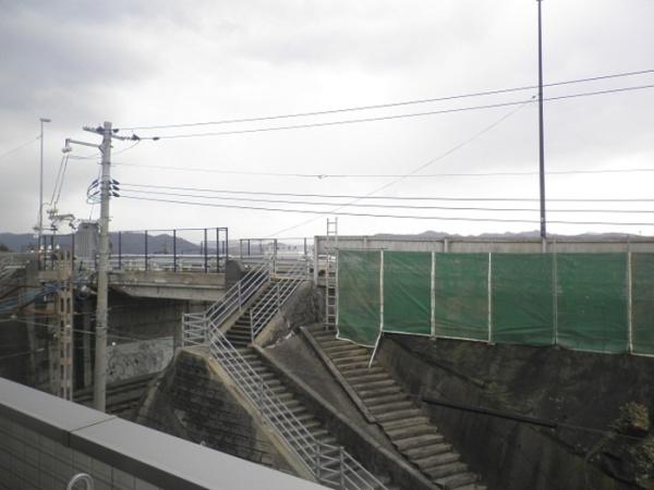 チェリー　ブランカ
