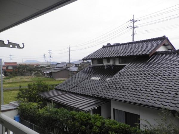 リトラウイング　D