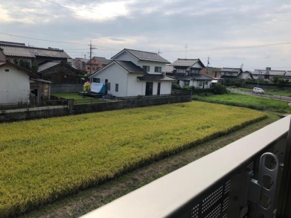 ウィットエム