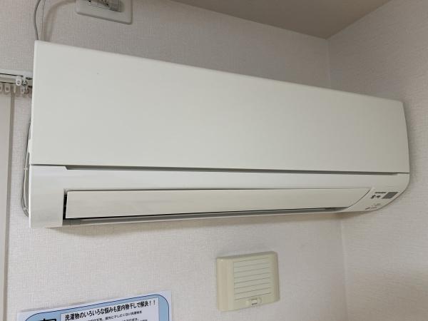 シャンクス