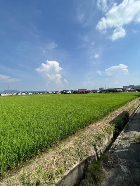 アンベリール