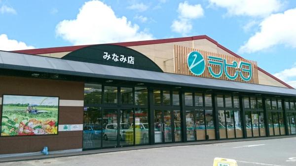 ファインパレスⅢ(ラピタみなみ店)