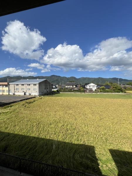 ダンデライオン D棟(現地からの眺望)