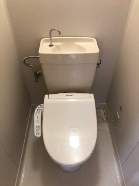 リトラウイング　C