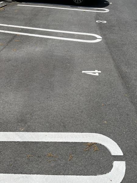レナトゥス